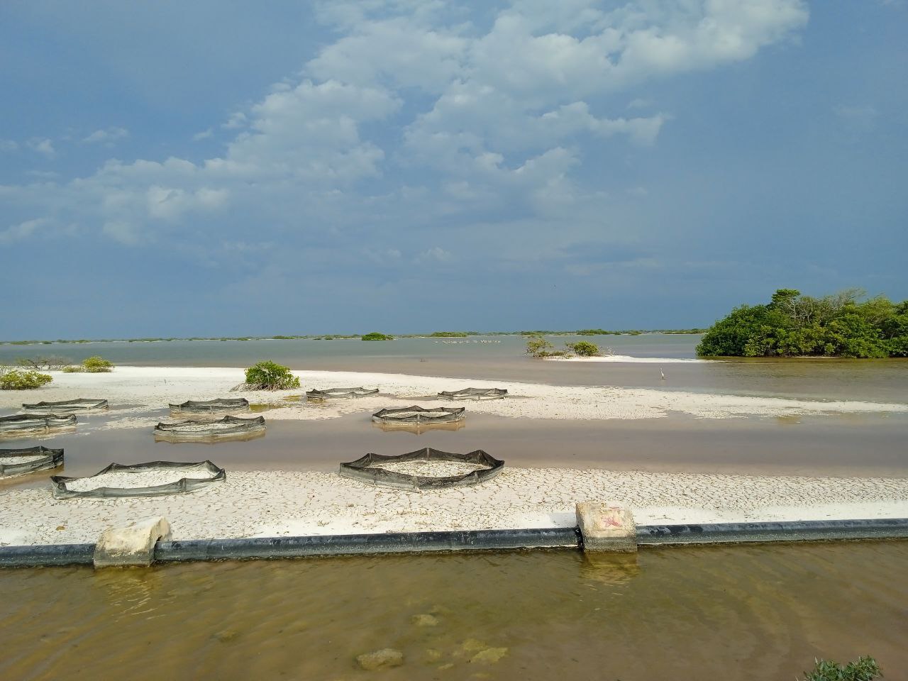 Marisma en Yucatán, Mexico